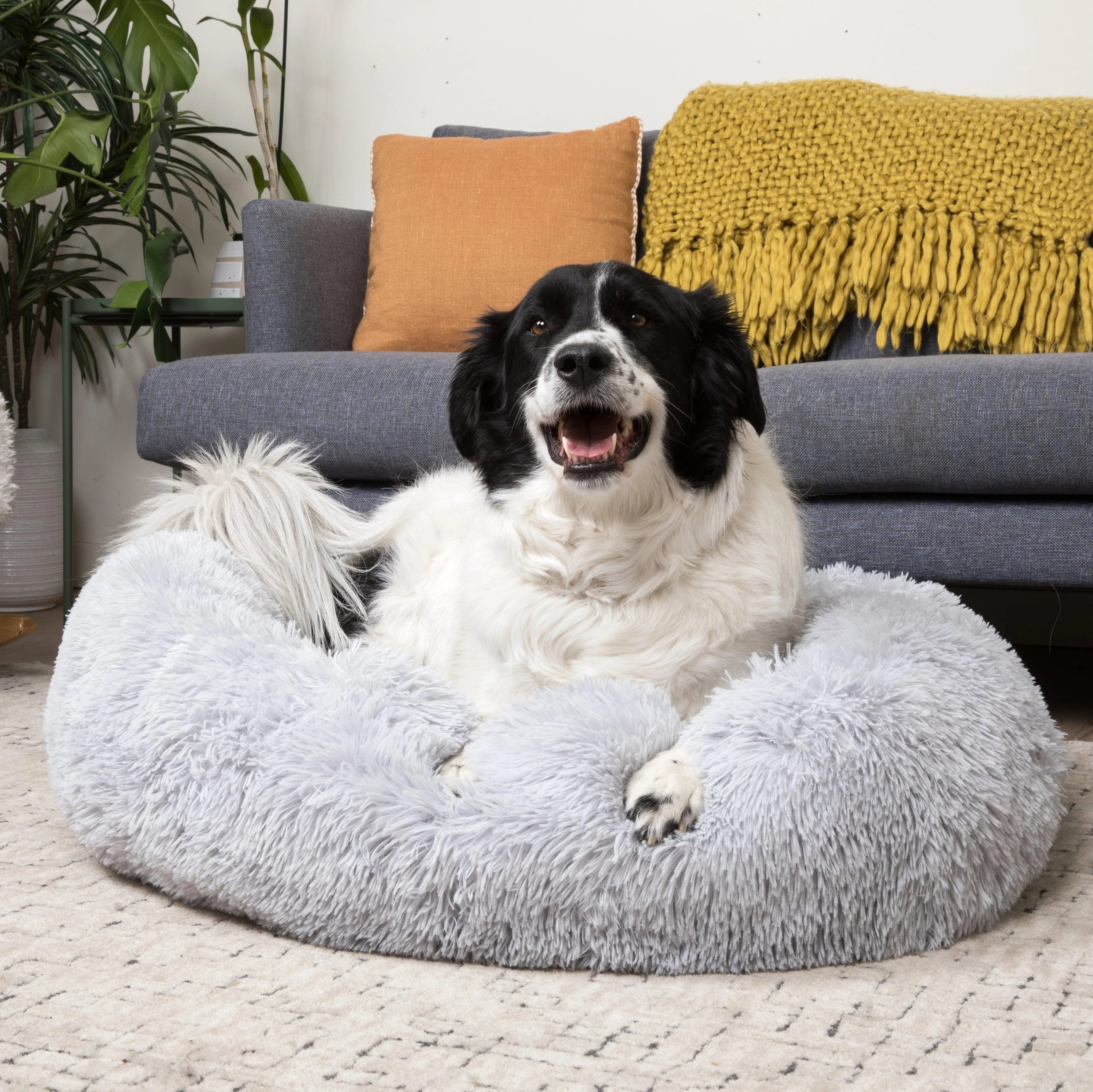 BellaBett - Das Hundebett für besseren Schlaf